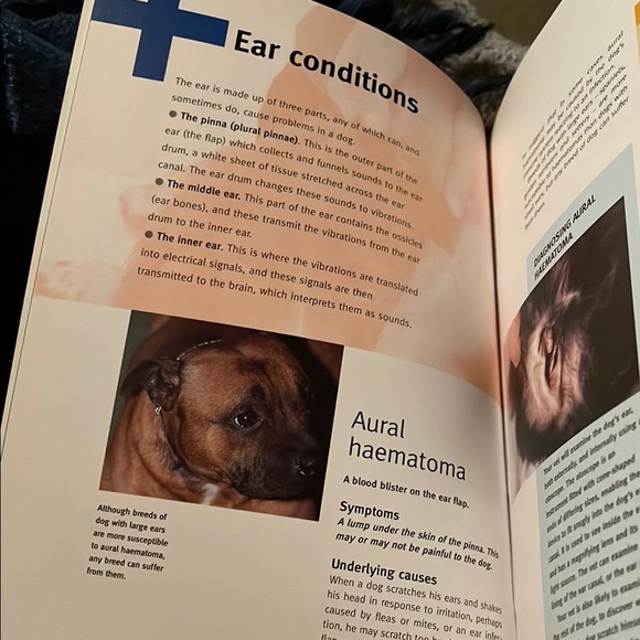 Comprehensive Health Care for Dogs by - White - Picture 5 of 11